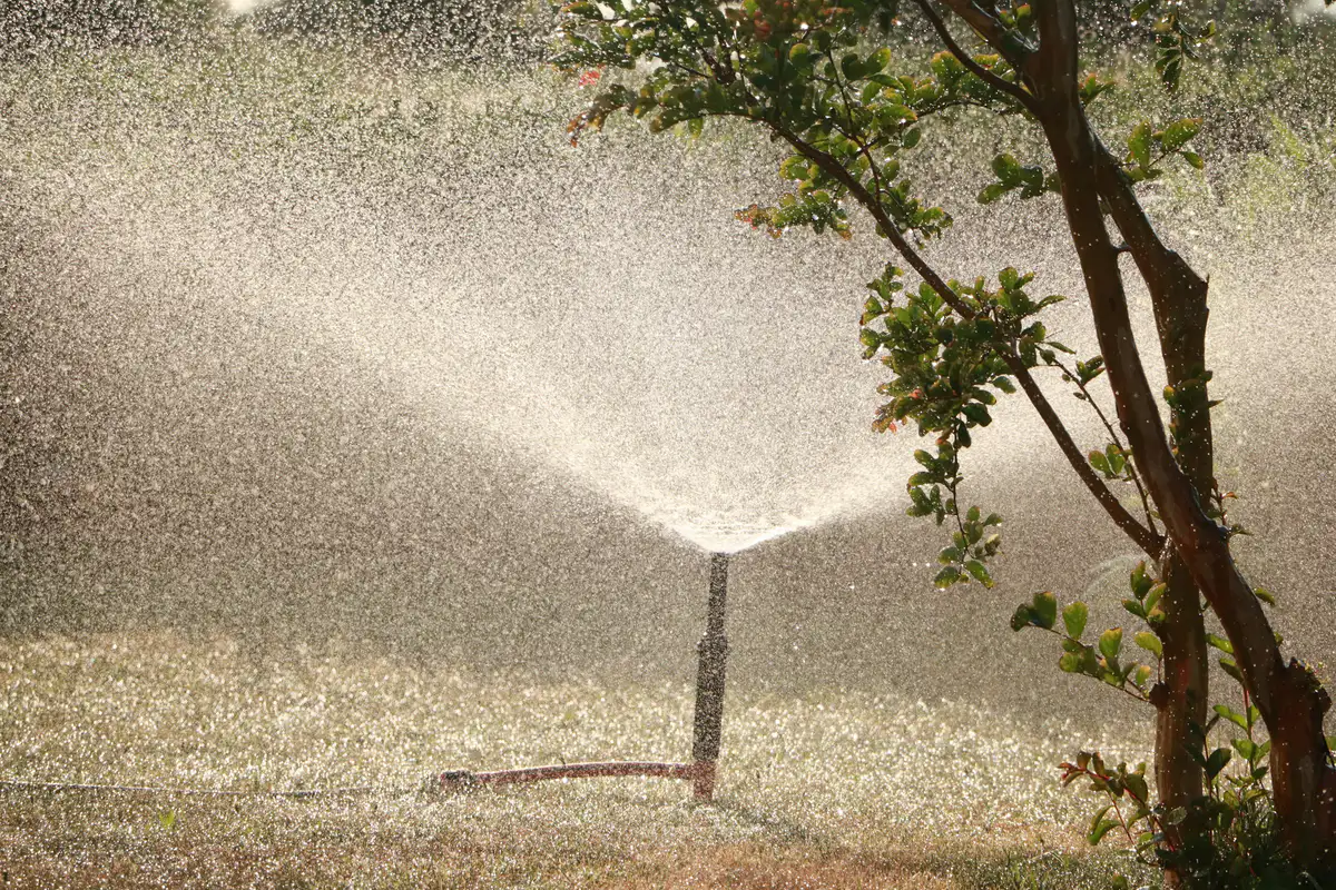 Ein Rasensprenger verteilt im Gegenlicht Wasser über einen Garten.